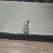 프로필 사진