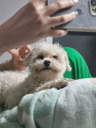 프로필 사진