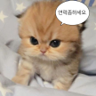 프로필 사진