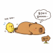 프로필 사진