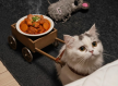 프로필 사진