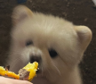 프로필 사진