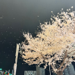 프로필 사진
