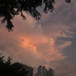 프로필 사진