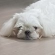 프로필 사진