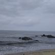 프로필 사진