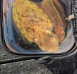 프로필 사진