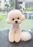 프로필 사진