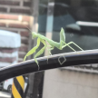 프로필 사진