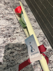프로필 사진