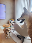 프로필 사진