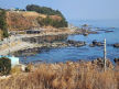 프로필 사진