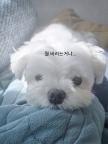 프로필 사진
