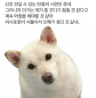 프로필 사진