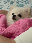 프로필 사진