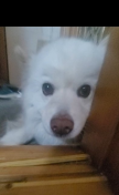 프로필 사진