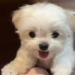프로필 사진